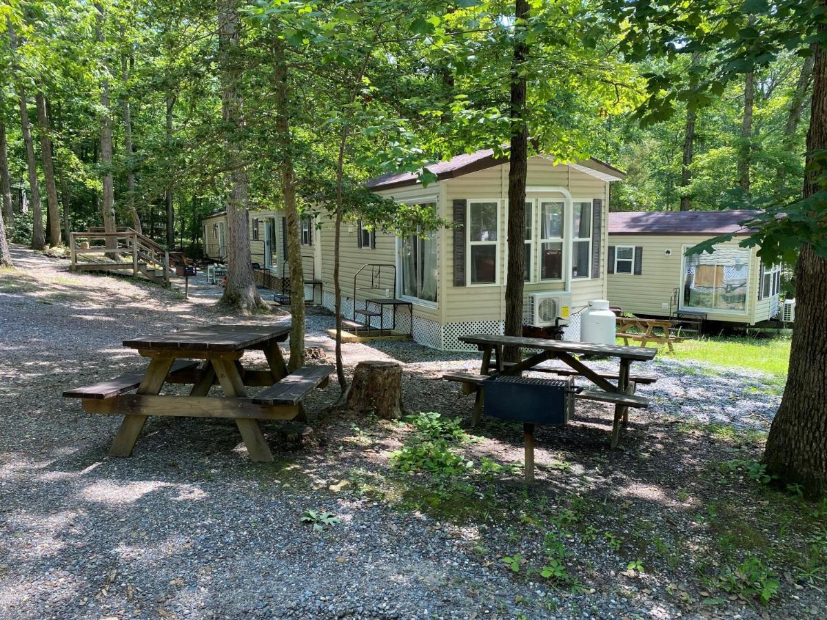 The Vintage Rv'S At Wilderness Presidential Camp Resort By Tripforth Spotsylvania Extérieur photo