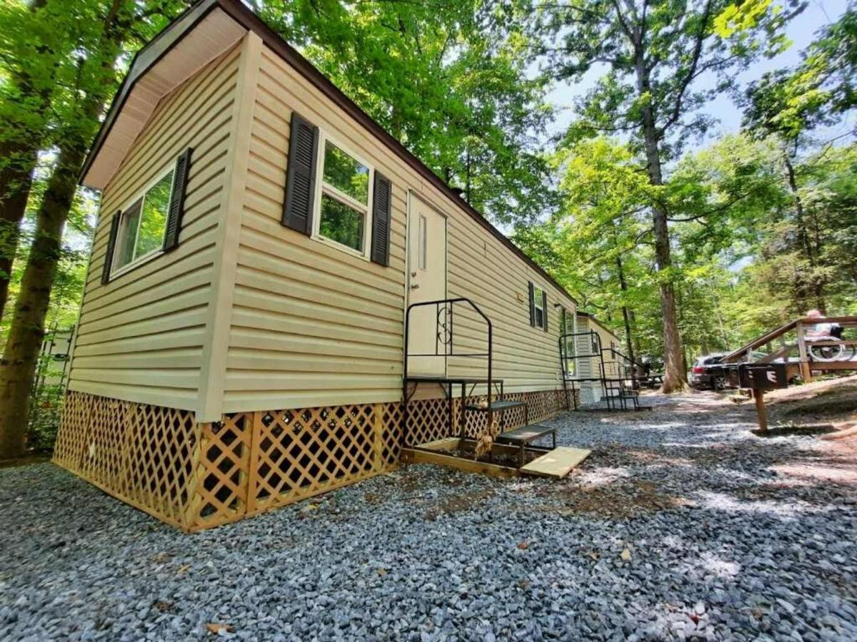 The Vintage Rv'S At Wilderness Presidential Camp Resort By Tripforth Spotsylvania Extérieur photo